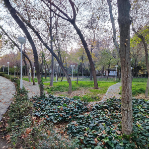 پارک وکیل آباد